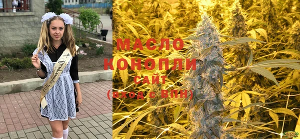 стафф Дмитриев
