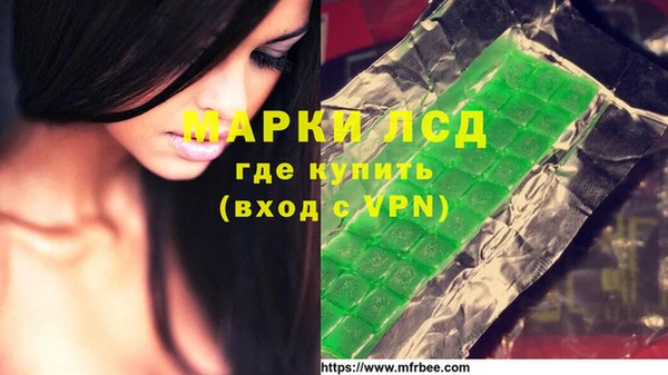 apvp Алзамай