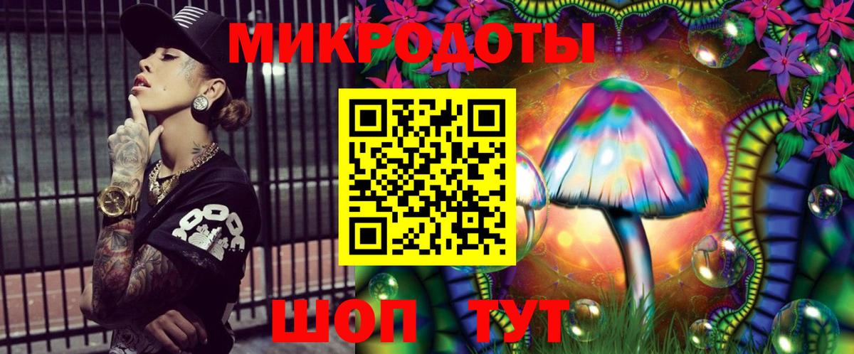 Псилоцибиновые грибы Psilocybine cubensis Краснокамск