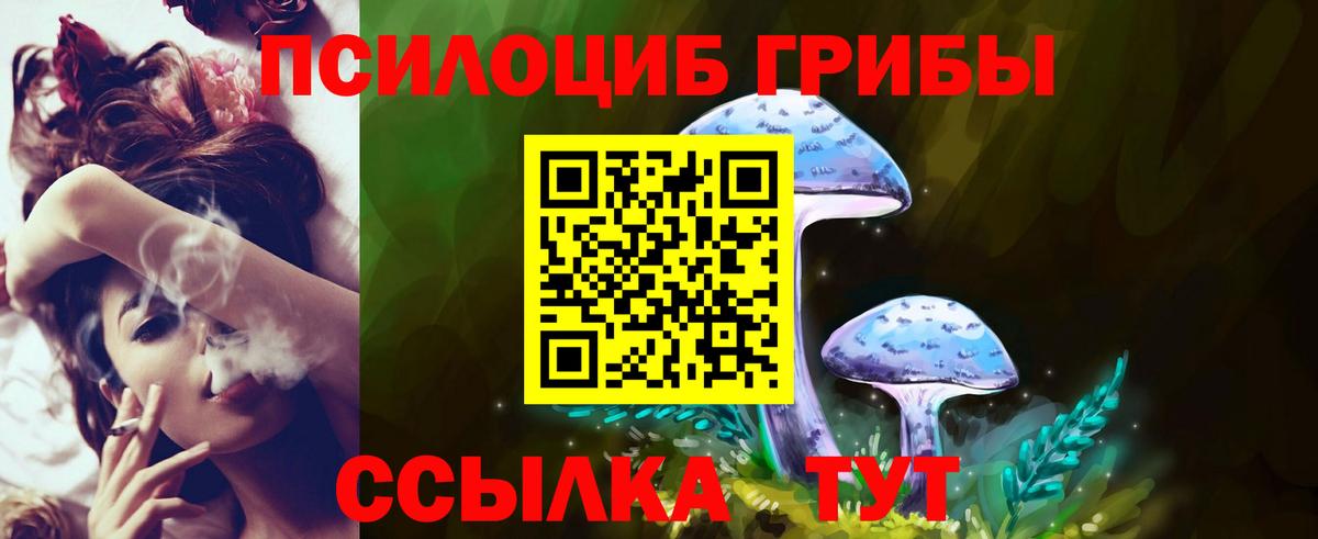 Краснокамск  Галлюциногенные грибы Psilocybine cubensis  Вход с VPN 